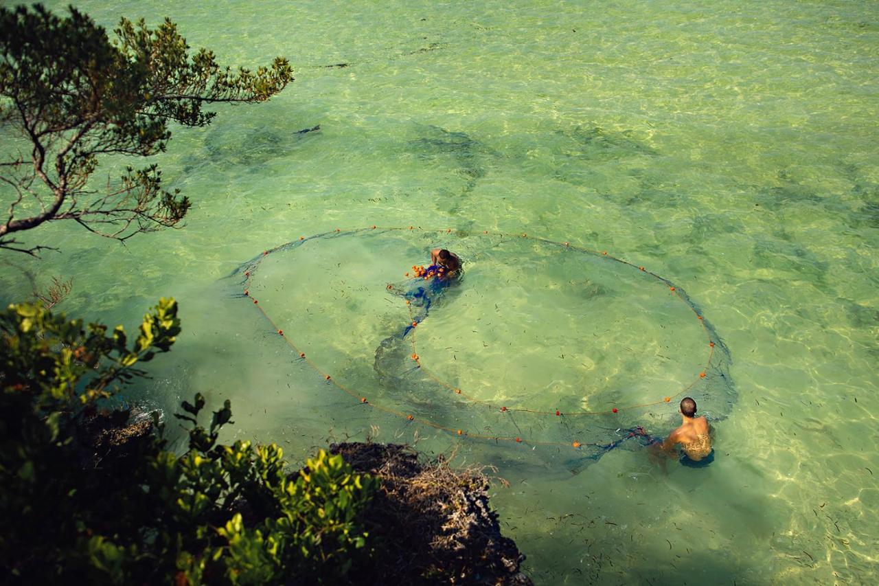 The Island - Pongwe Lodge (Adults Only) Экстерьер фото